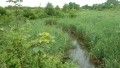 zwischen Donau und Iller