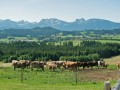 Seeg: 5-Seen-Runde