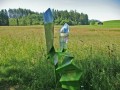 Seeg: 5-Seen-Runde