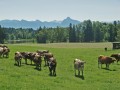 Seeg: 5-Seen-Runde