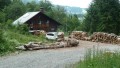 Wanderung zur Alpe Hohenschwand