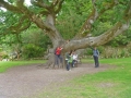 Wanderreise nach Irland