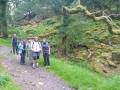 Wanderreise nach Irland