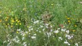 Wanderung im Bibertal