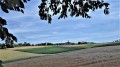 Zwischen Harthausen und Ermingen