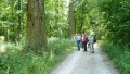 Zwischen Harthausen und Ermingen