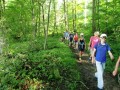 Wanderung auf dem Härtsfeld