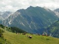 Auenhütte - Walmendinger Horn - Schwarzwasser