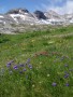 Bergtouren im Lechquellengebirge