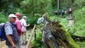 08-Feuersteinschlucht