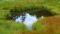 Wanderung zum Weiherkopf