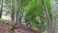 Wanderung zum Weiherkopf