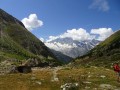 Wallis_01