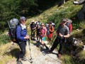 Wallis_02