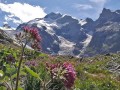 Bernina_13