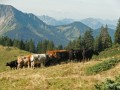 Bergtour auf die Matona