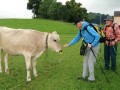 Wanderung über den Gäbris