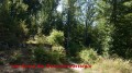 Wanderung bei Königsbronn