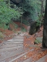 Wanderungen im Elbsandsteingebirge
