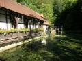 Felsenstieg um Blaubeuren