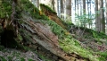 Wanderung zur Wittelsbacher Höhe
