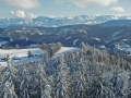 Blick vom Aussichtsturm