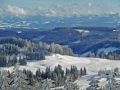 Blick vom Aussichtsturm