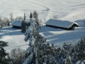 Blick vom Aussichtsturm