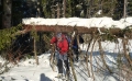Schneebruch beim Abstieg nach Kalzhofen