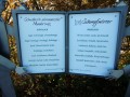 von Ilmensee zum Höchsten