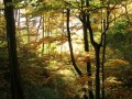 von Ilmensee zum Höchsten