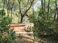 Wanderreise Costa Brava