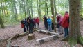 Eselsberger Wald