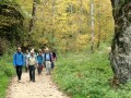 Glastal - Wimsener Höhle