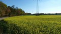 Wanderung am Illerkanal