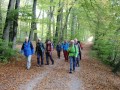 Wanderung am Mindelsee