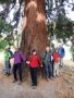 Wanderung am Mindelsee