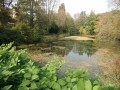 Wanderung am Mindelsee