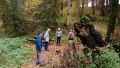 Wanderung Hübscher Stein