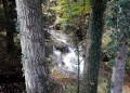 Lindenberg-Scheidegg