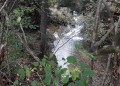 Lindenberg-Scheidegg