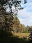 IMG-20201014-WA0000