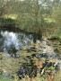 IMG-20201014-WA0007
