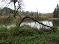 Illerdurchbruch