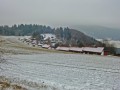 Tieringer Hörnle