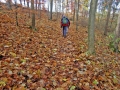 unterwegs nach Oberherrlingen