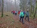 durch den Herbstwald