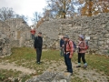 Ruine Falkenstein