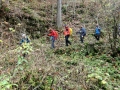 Abstieg ins Reiftal