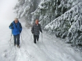 Wanderung bei Gwiggen